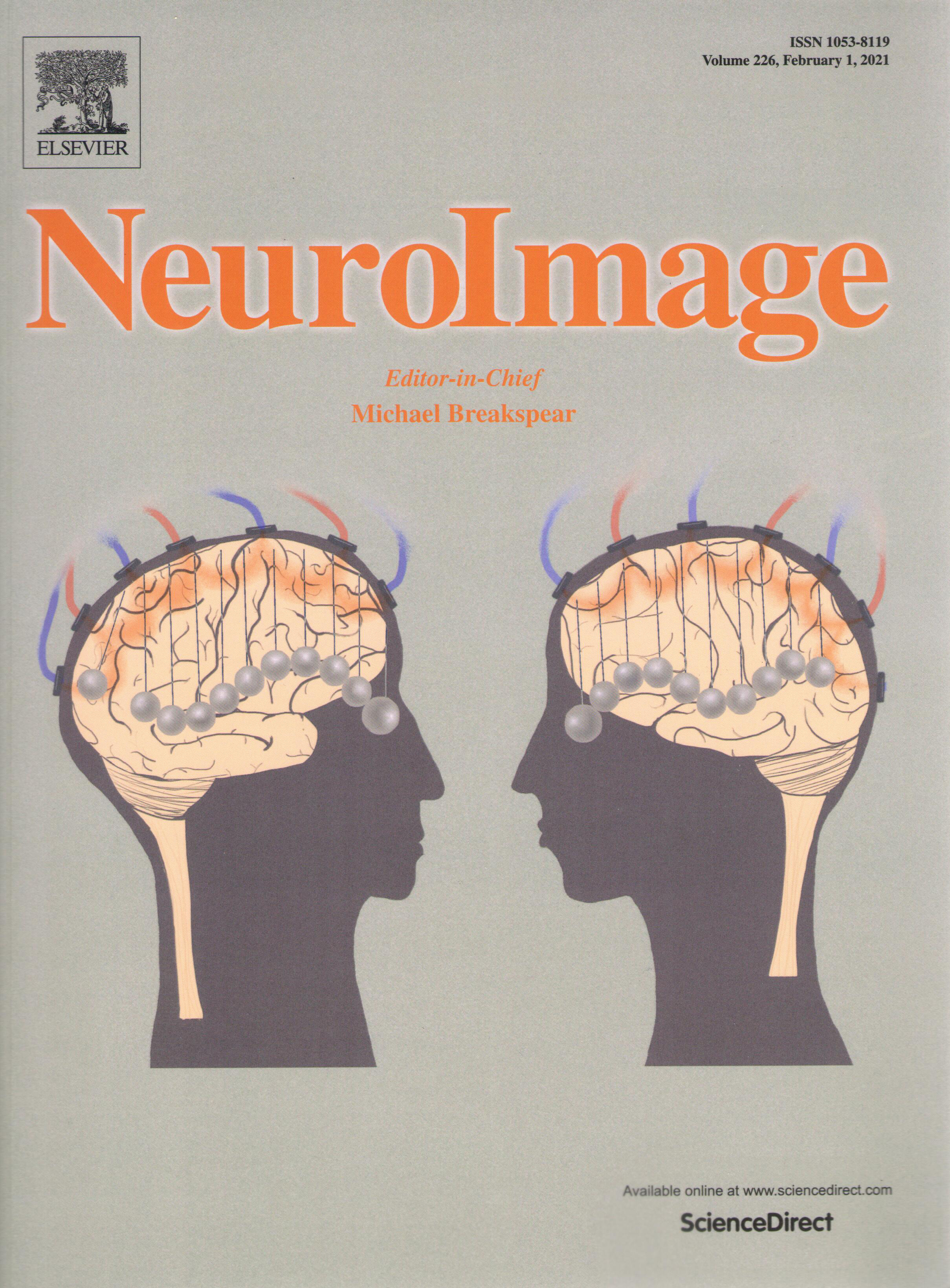 Cover of NeuroImage